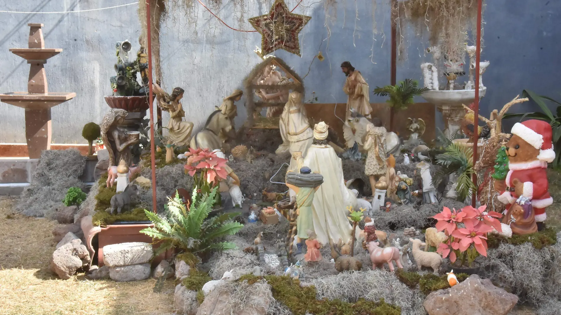 NACIMIENTO (5)